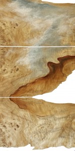 Canyon's Echo