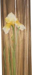 Yellow Bearded Iris